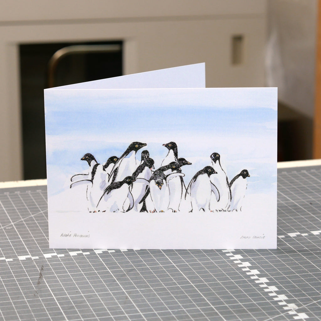 5" x 7" Greetings Cards – Saxon Print