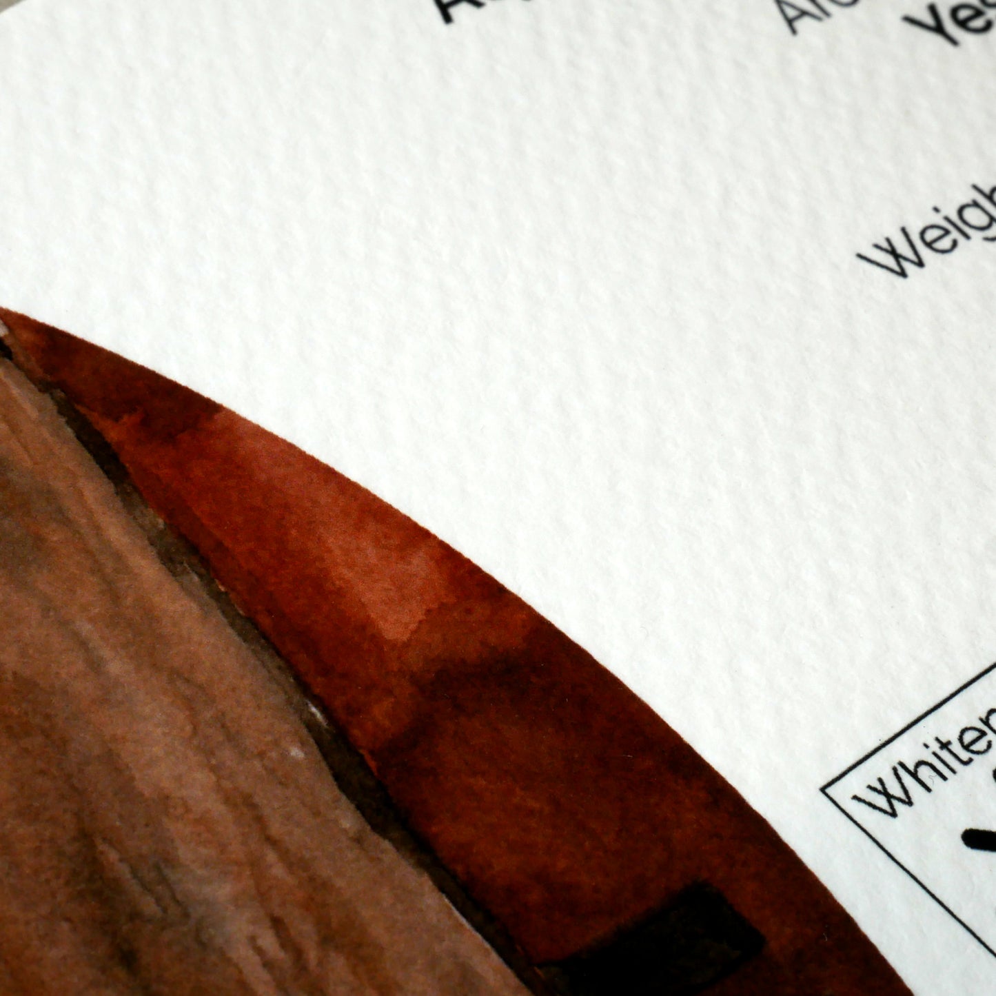 Giclée Prints - Canson® Infinity Aquarelle Rag 310gsm