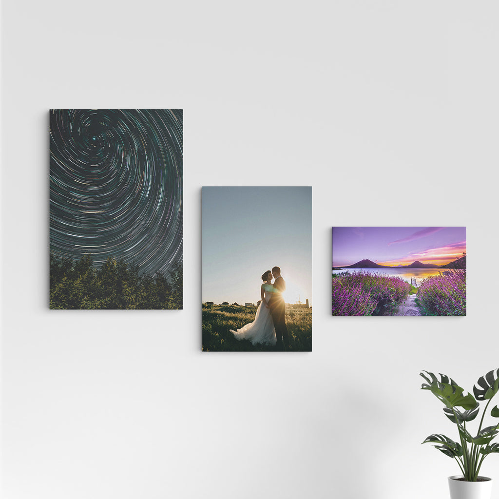 Canvas Prints