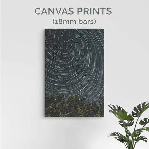 Standard Canvas Prints