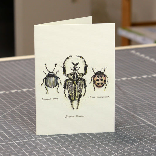 A6 Portrait Greetings Card