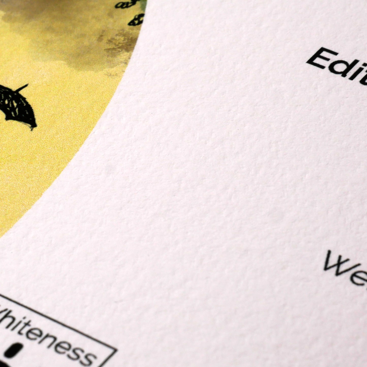 Giclée Prints - Canson® Infinity Edition Etching Rag 310gsm